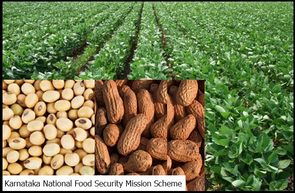 Karnataka National Food Security Mission Scheme