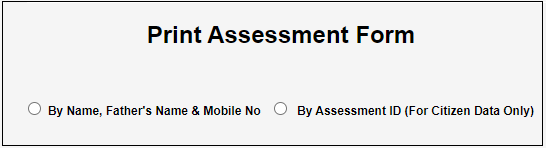 assessment form print