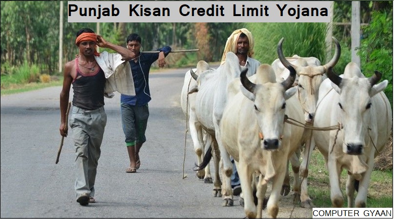 Punjab Kisan Credit Limit Scheme 2024