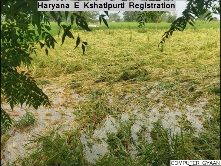 Haryana E Kshatipurti Portal